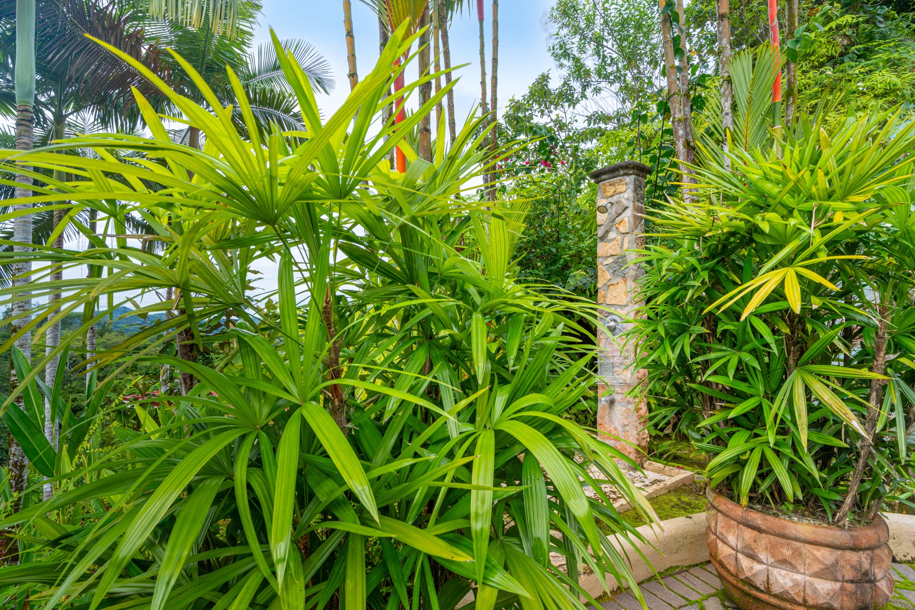 Oceanview Oasis in Ojochal: Entertainer’s Dream Home with Modern Elegance selected