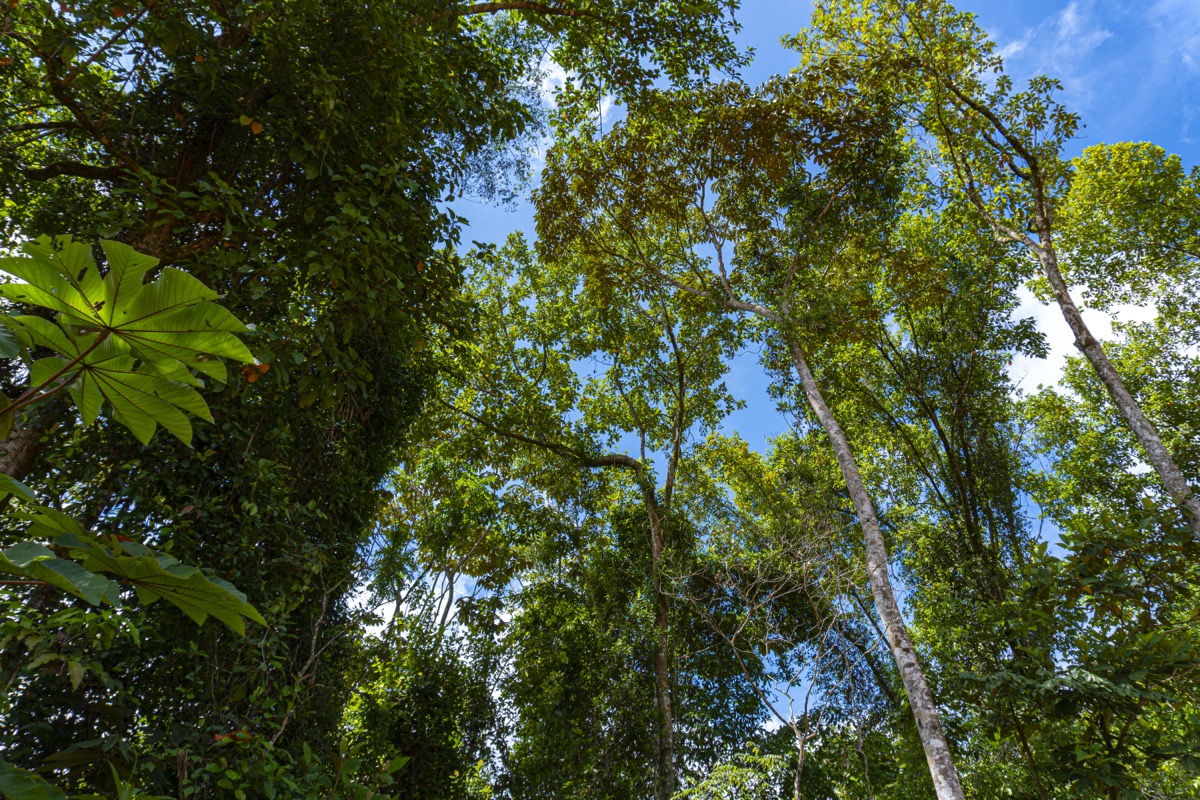 1.5 Acres with Mountain in San Buenas selected