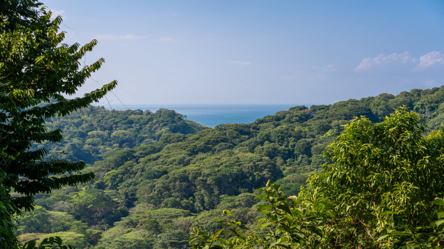 Rare 86-Acre Ocean View Estate Bordering Hacienda Barú – A Unique Opportunity for Conservation and Development selected