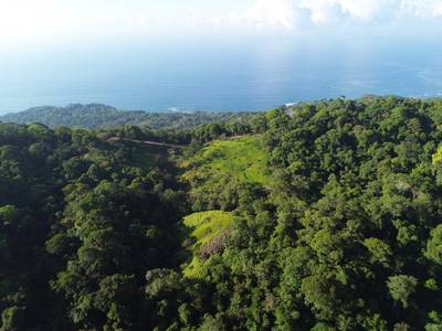 Expansive Escaleras Estate with Ocean Views, Jungle, and Development Potential image 1