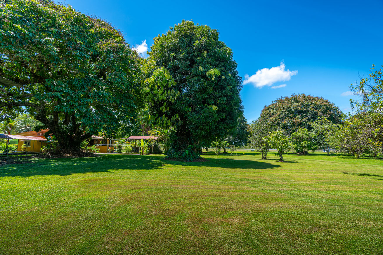 13.4 Acres of Prime Development Land with Direct Airport Access in Palmar Sur selected