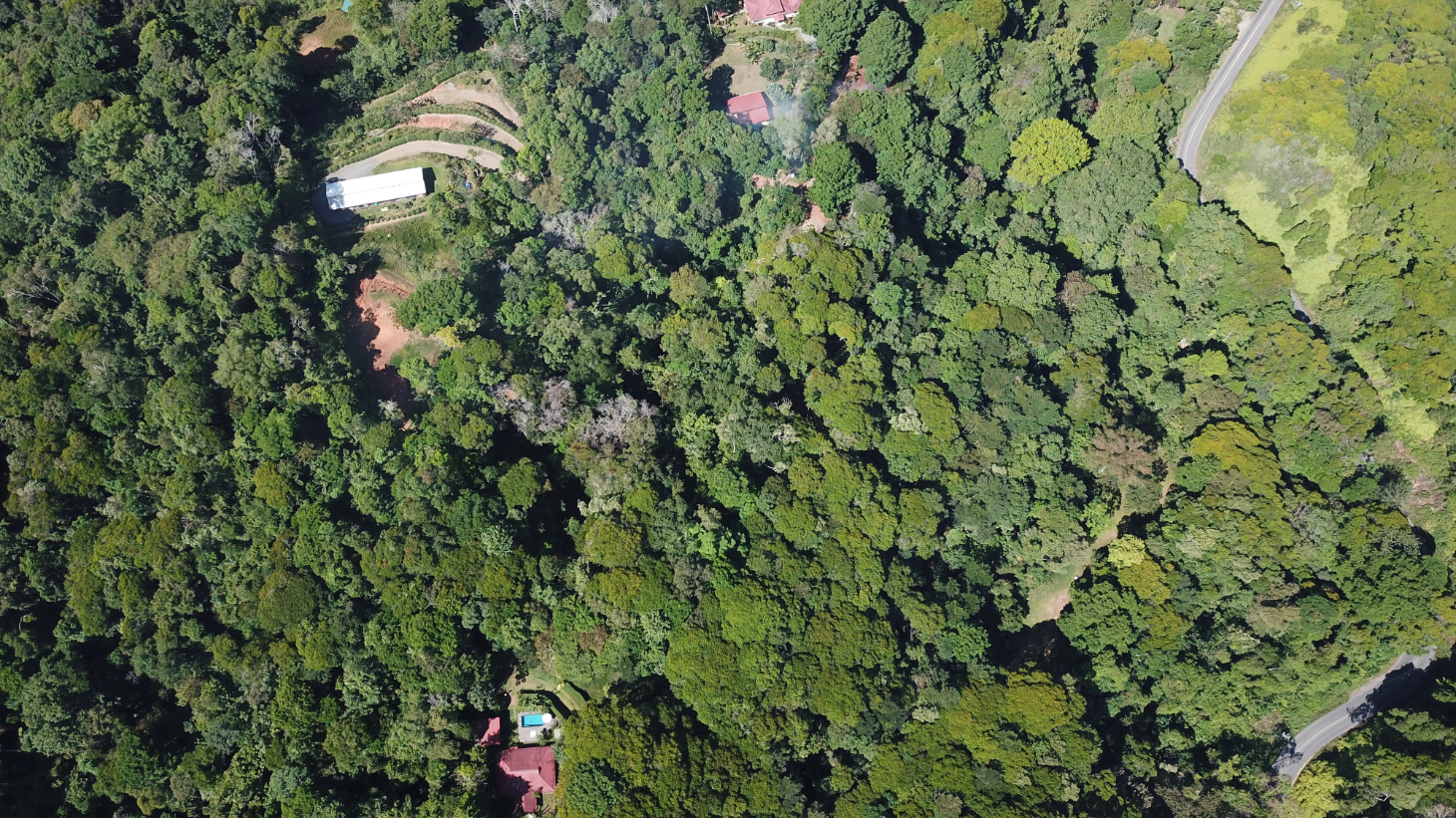 Build Ready Home Site with Easy Access in a Lush Rainforest Setting selected