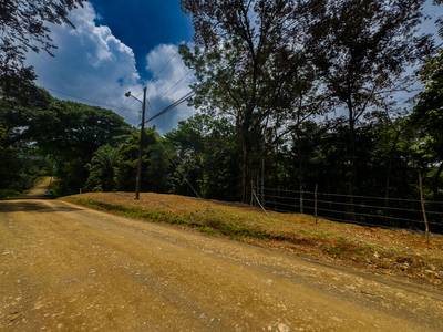 Prime 2.35-Acre Jungle Property in Sought-After Ojochal — Public Road Frontage, Development Flexibility, and Natural Beauty image 5