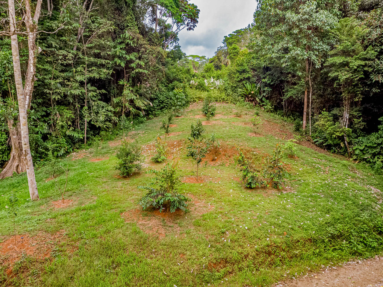 Exceptional 12-Acre Investment Property in Central Ojochal – Riverfront Jungle Estate with Home, Cabin, Workshop & Endless Development Potential selected