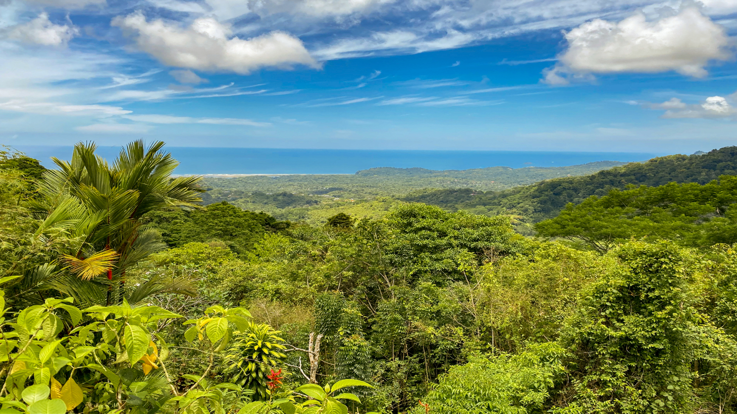 3-Bed Ocean View Home Near Ojochal, Costa Rica | 2.75 Acre Jungle Property selected