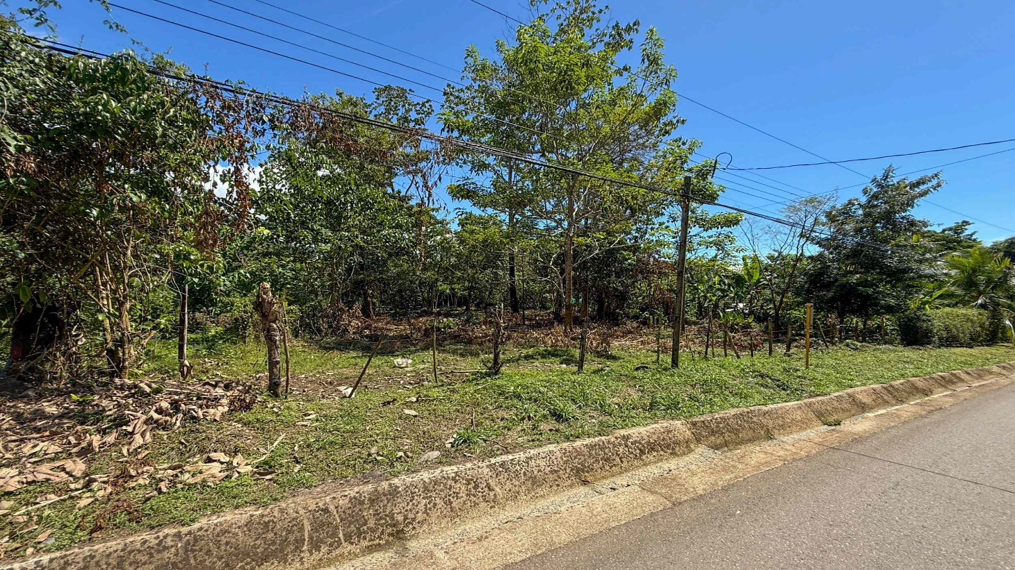 Easy-Access Building lot with Paved Road Access & All Utilities Available on a Flat Half-Acre in Ojochal Costa Rica selected