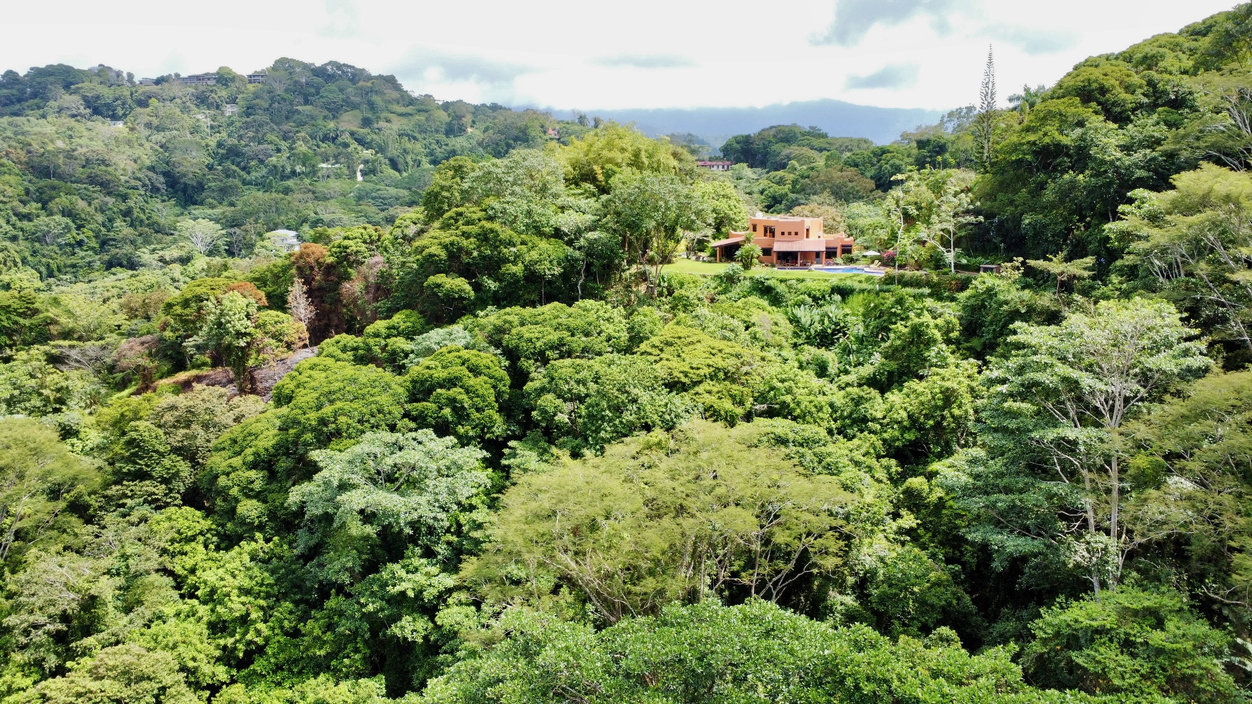 3 Bedroom Ocean View Home, Guest House, and Additional Building Site on 11.35 Acres selected