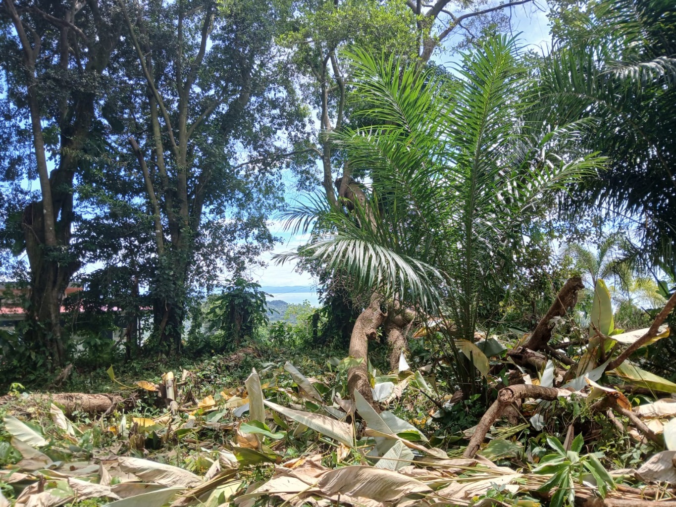 1.14-Acre Ocean View Estate Lot | Phase 5, Ojochal selected