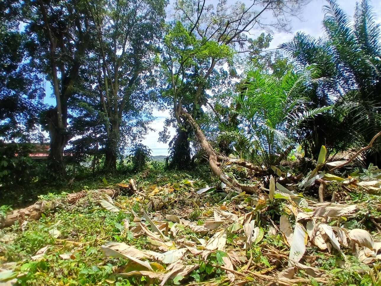 1.14-Acre Ocean View Estate Lot | Phase 5, Ojochal selected