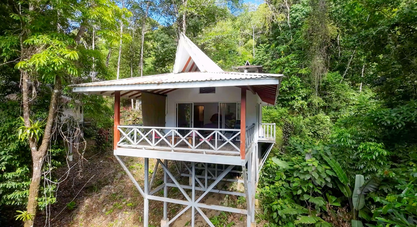 Nature Retreat Estate – Southern Pacific Zone, Costa Rica selected