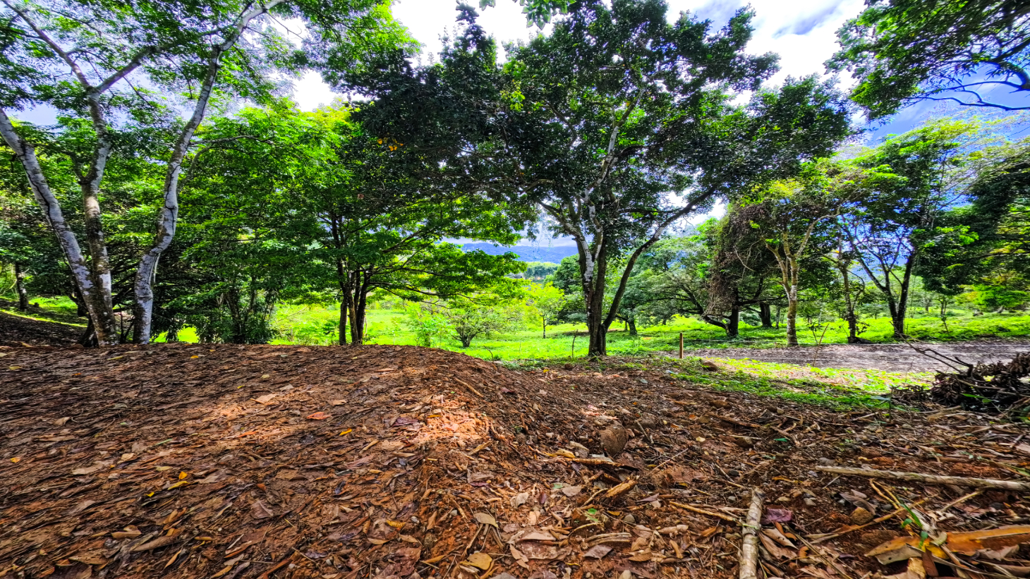 Expansive Ocean View Lot for Sale in Cinco Ventanas, Ojochal selected