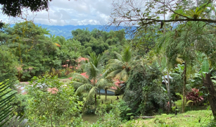 2.9 ACRES – Tons of Fruit Trees, 3 Bedroom Tico Home Plus Bodega In Tinamastes selected