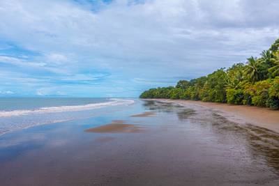 Exclusive Beachfront Penthouse – The Most Private Residence at Elan image 4