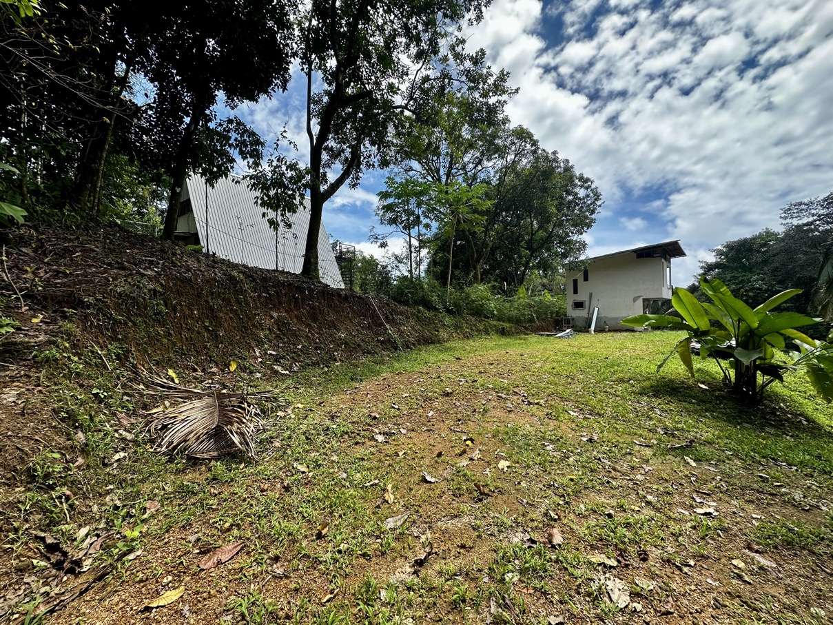 Fixer-Upper with Stream, Forest Views, and Investment Potential in Playa Hermosa selected