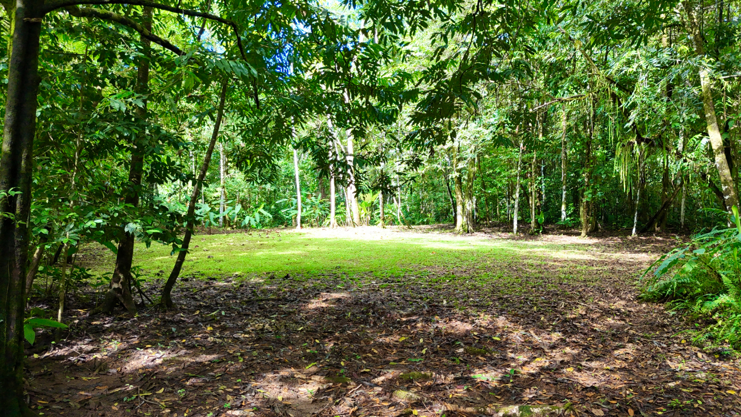 Selva Vista Estate – 5.9 Acres of Wild Beauty selected