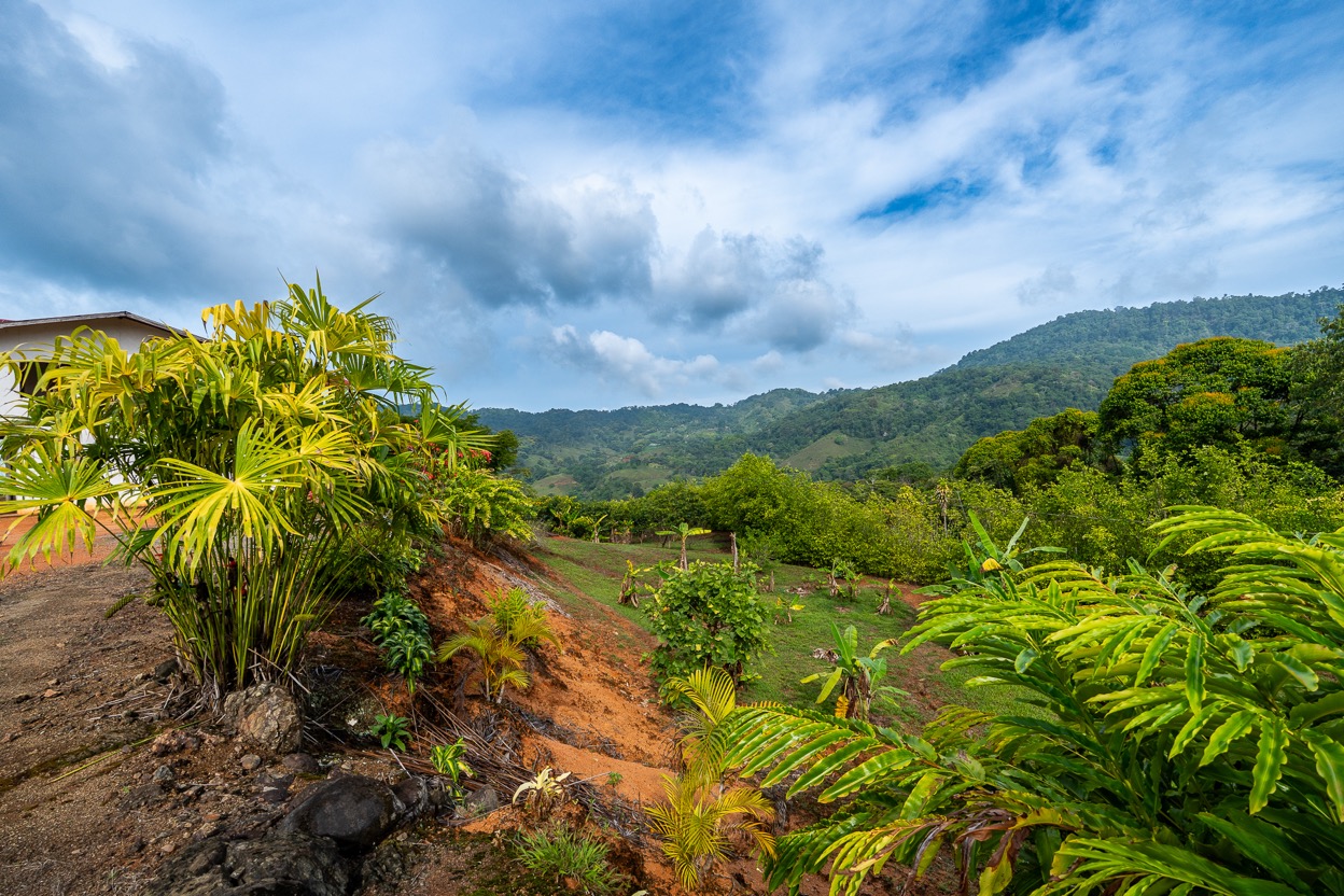 Ocean View Development Property with Waterfall Vista — 14.83 Acres in San Luis de Morete, Near Uvita selected