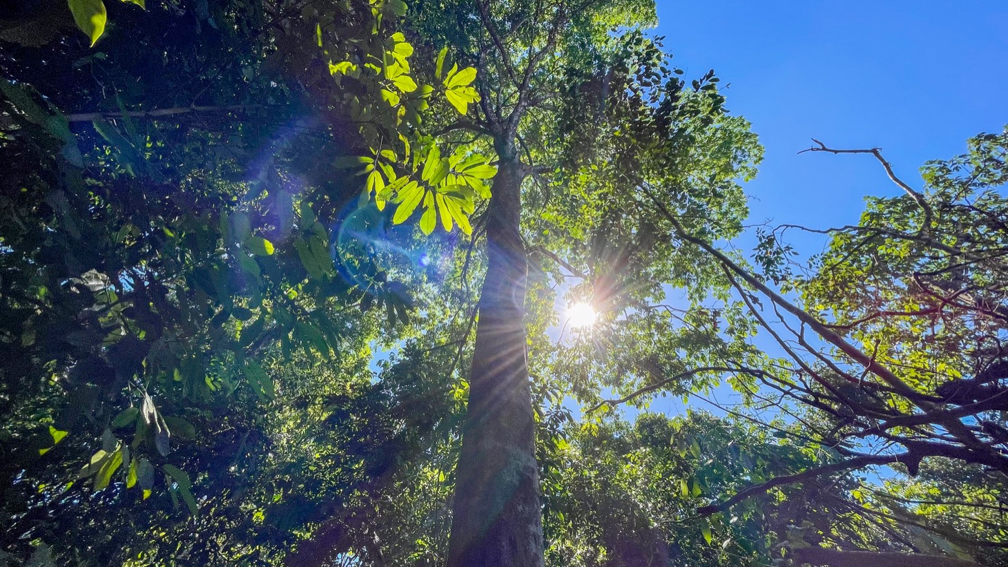 1.3-Acre Mountain View Land with 3 Building Sites in Uvita selected