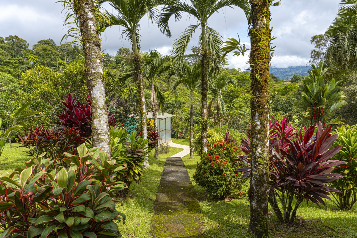 Serene Costa Rican Jungle Retreat with Waterfalls & Wildlife selected