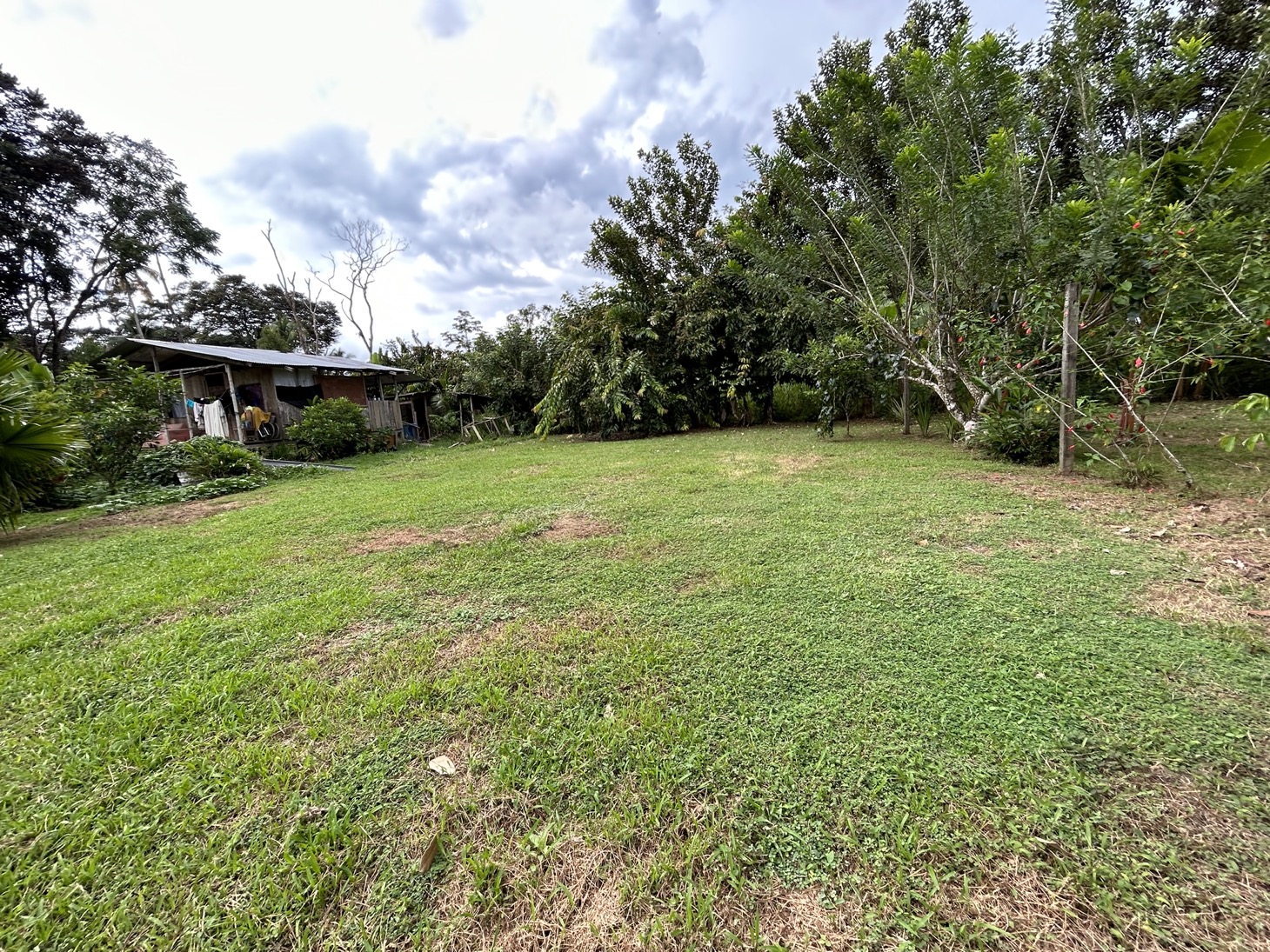 Nice Lot in San Buenas, Costa Rica selected