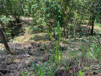 Your Private Mountain Sanctuary Awaits image 4