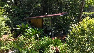 1.7 Acres Ocean View with Income-Generating Cabin – Uvita image 3