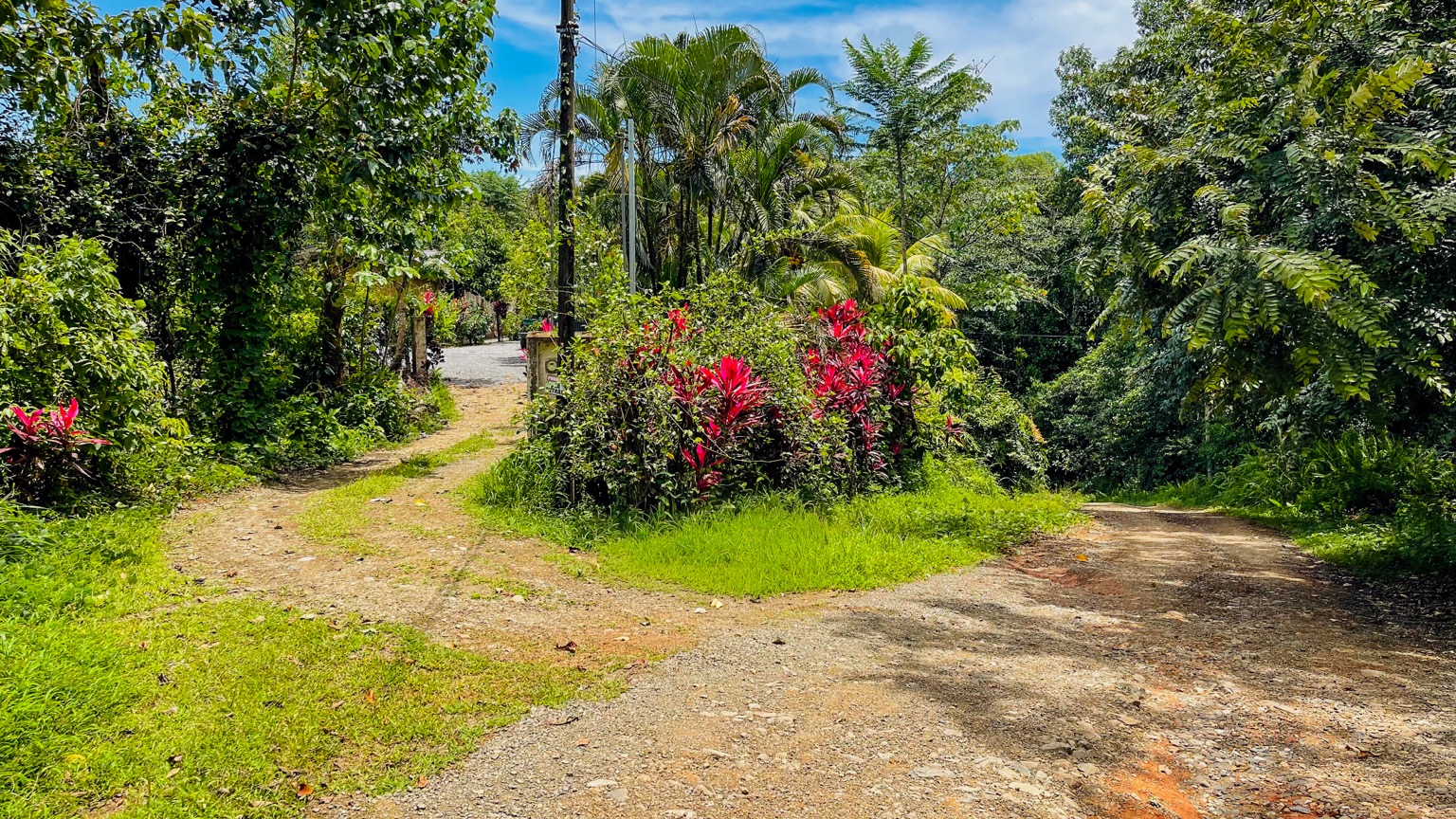 Premium 9.3-Hectare Farm for Sale in Ojochal, Costa Rica selected