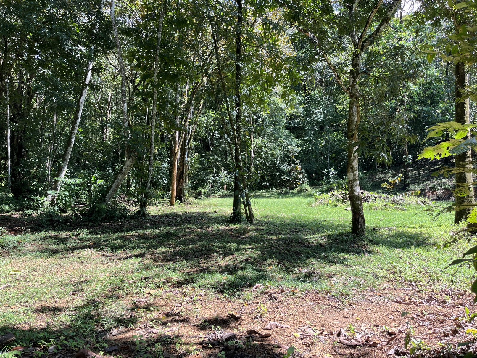 Flat Lot in Tortuga: Your Dream Project Awaits selected