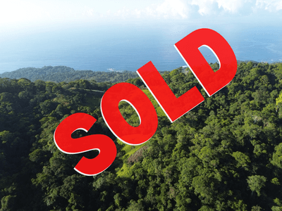 Expansive Escaleras Estate with Ocean Views, Jungle, and Development Potential image 1