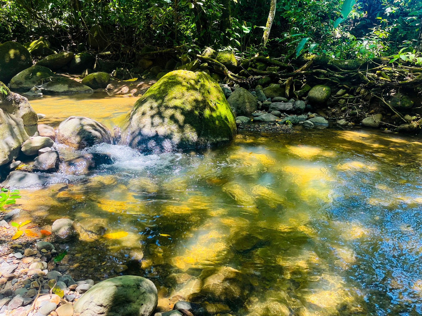 Two Modern Homes with Mountain View, Creek Access, and Multiple Building Sites in Tumbas, Tinamastes selected