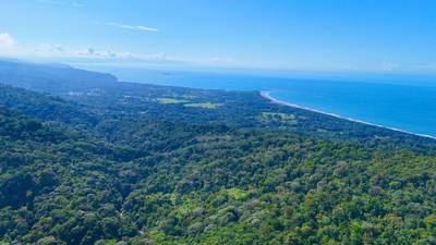 Selva Vista Estate – 5.9 Acres of Wild Beauty image 5