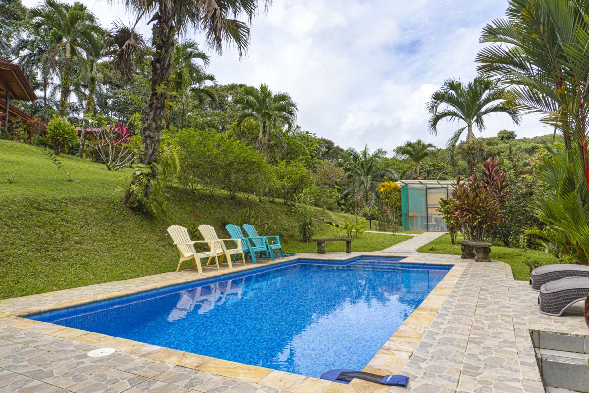 Serene Costa Rican Jungle Retreat with Waterfalls & Wildlife selected