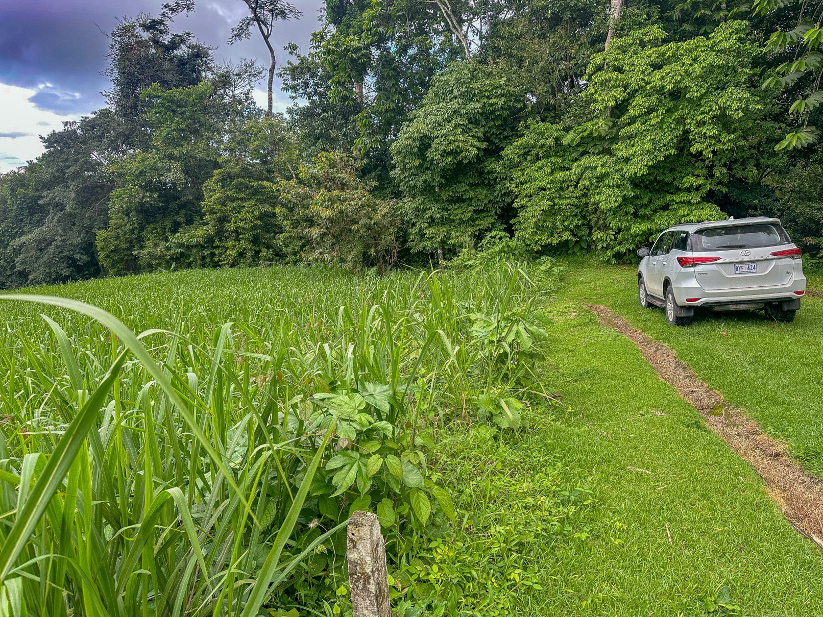 Beautiful Lot in Gated Community with Nearby Creek and Jungle-Covered Valley selected