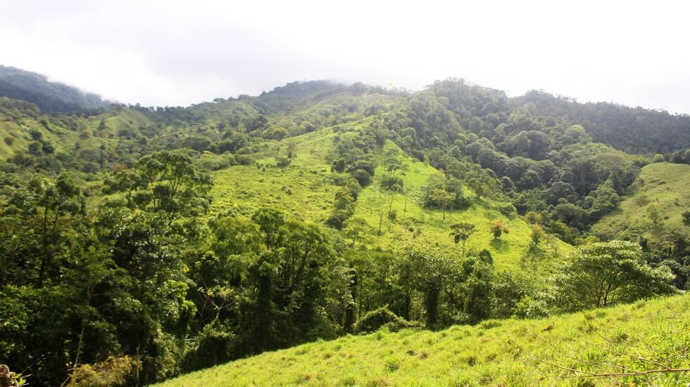 Beautiful 72 Acre Farm In Uvita With Waterfalls And Ocean Views selected