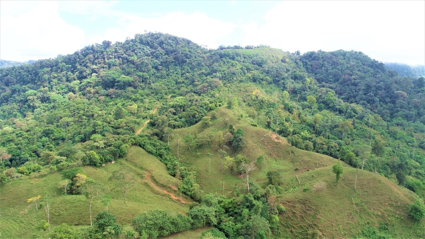 3 Spectacular Ocean View Farms in Uvita selected