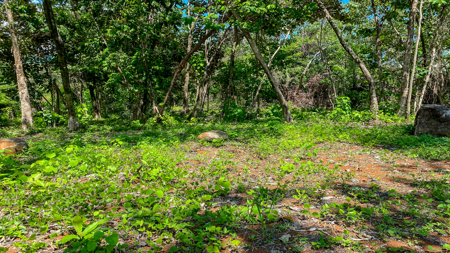 5.75 Acre Land for Sale in Ojochal | Ocean View Development Property selected