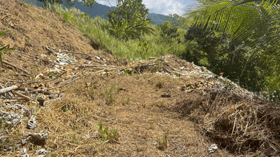 Ocean & Mountain View Lot in Gated Community Ready for Construction image 5