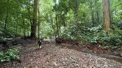 A Living Jungle Sanctuary on the River — 86 Hectares in Sabalo, Costa Rica image 5