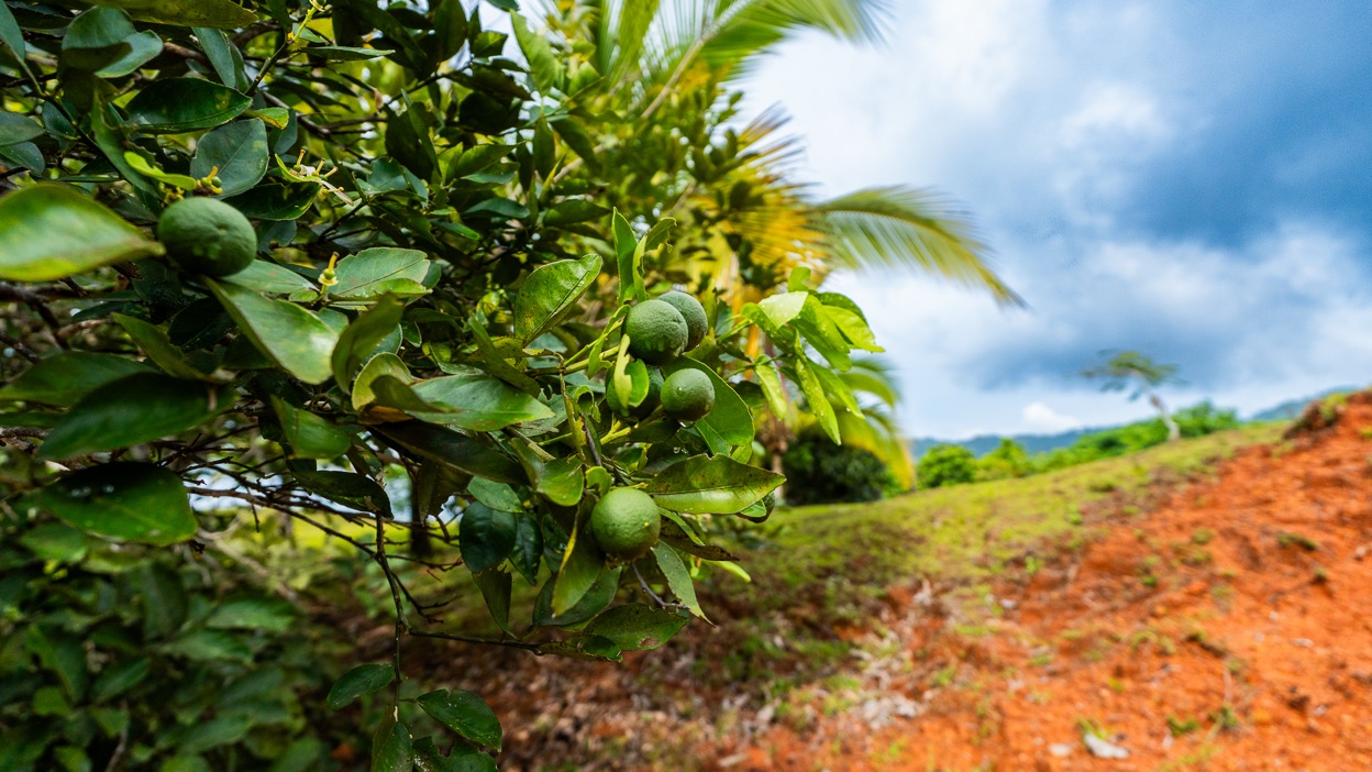 Ocean View Development Property with Waterfall Vista — 14.83 Acres in San Luis de Morete, Near Uvita selected
