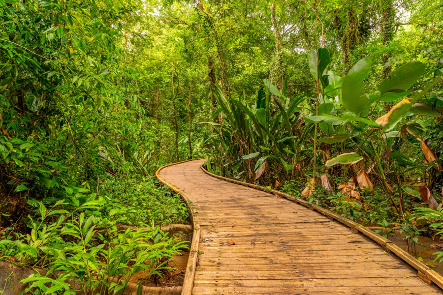 Exclusive Beachfront Penthouse – The Most Private Residence at Elan selected