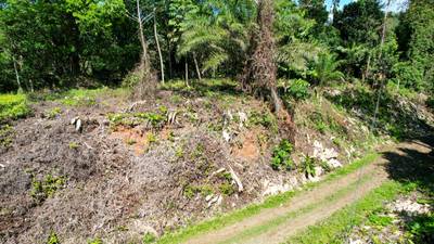 Tucked-Away Jungle Lot at the End of a Quiet Road — Ojochal, Costa Rica image 1