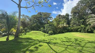 Development Parcel Central Uvita with River! image 1