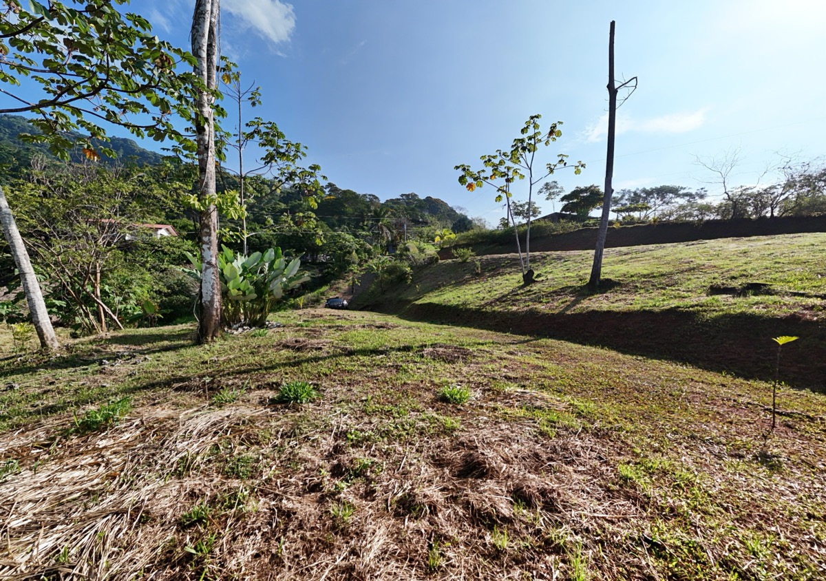 Residential Homesite with Flat Building Areas & Prime Access Near Uvita selected