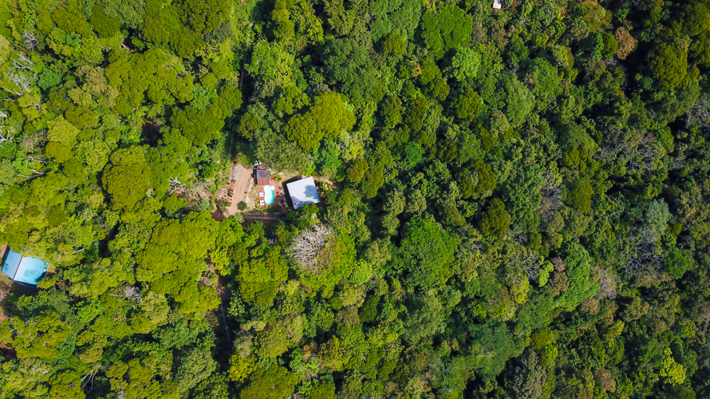 Rainforest Retreat with a Forested Setting and Good Rental History in Lagunas selected