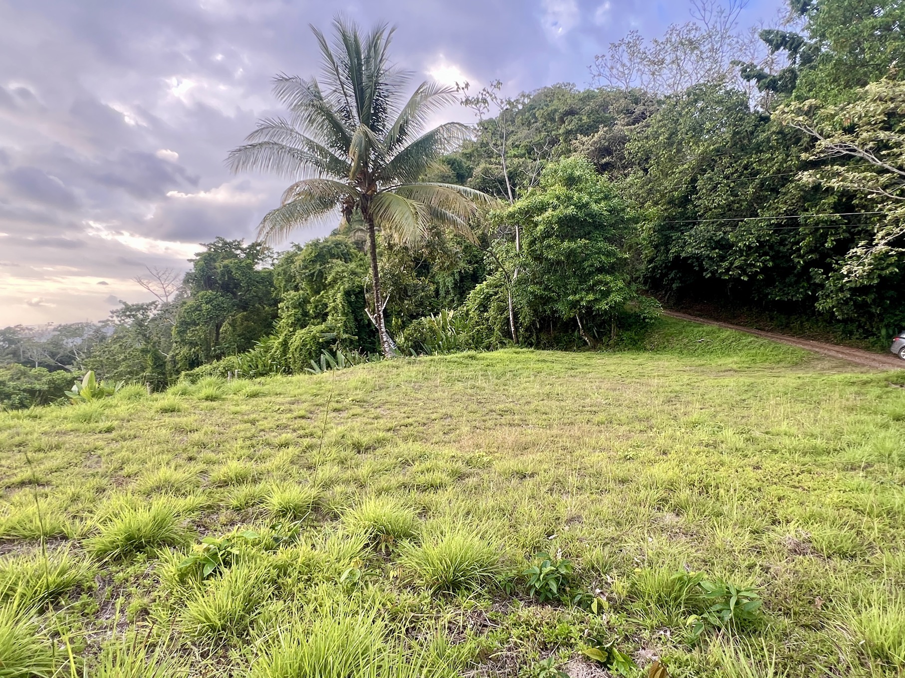 3.57-Acre Ocean View Estate Parcel with Creek & Sunset Exposure Near Dominical selected
