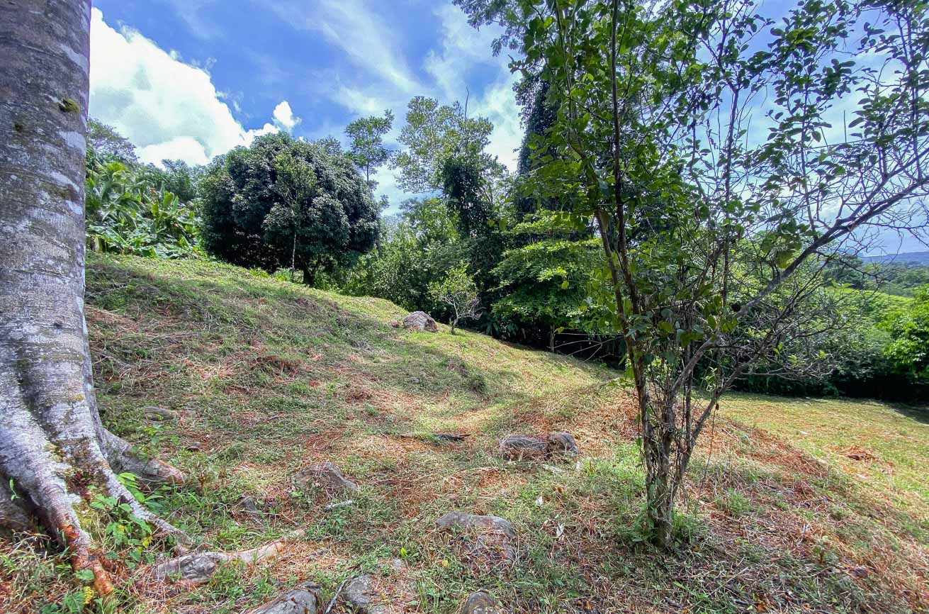 Large Uvita Lot with Whale’s Tail Ocean Views, Sunsets & Legal Water – Ready to Build selected