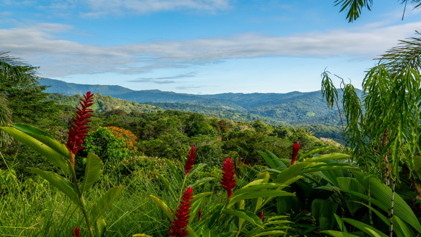 5.67 ACRES – 3 Bedroom Stunning Luxury Home Featuring Sweeping Valley & Ocean Views, Natural Wood Finishes & Sophisticated Design! selected
