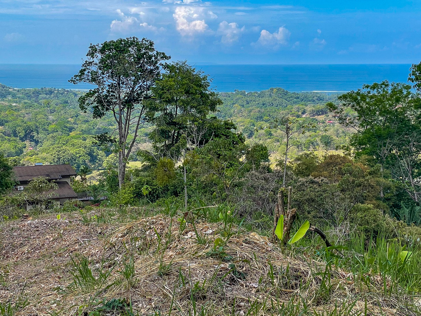 Excellent Dream Home Or Mini-Development Opportunity: 2.2-Acre Ocean View Property in Ojochal, Costa Rica selected