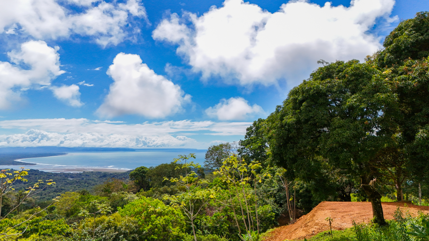 Expansive Ocean View Lot for Sale in Cinco Ventanas, Ojochal selected