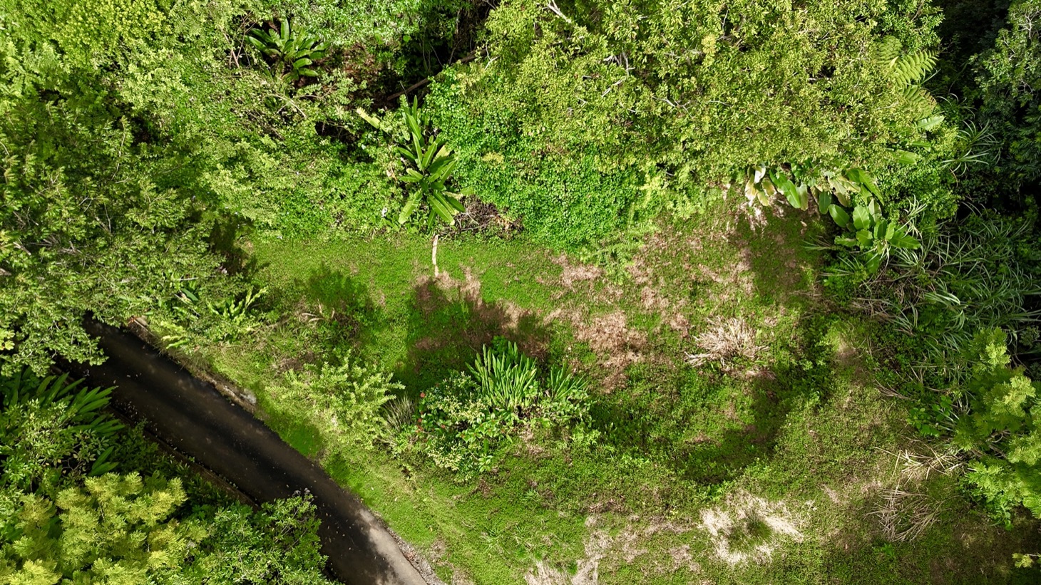 Ocean View Land Within a Few Minutes to Uvita selected