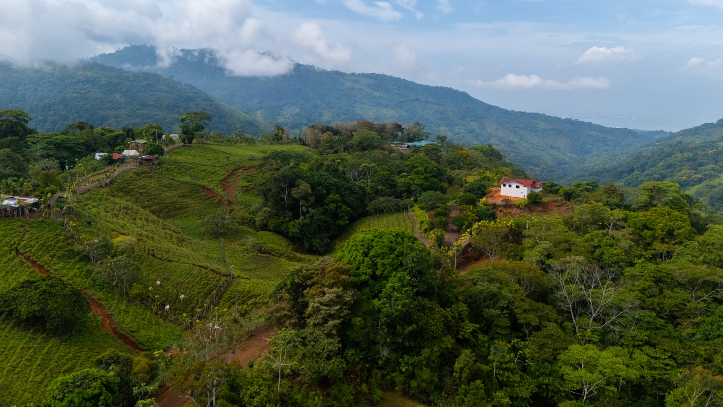 Ocean View Development Property with Waterfall Vista — 14.83 Acres in San Luis de Morete, Near Uvita selected